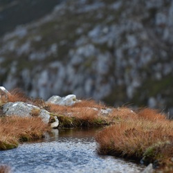 2018-11 Scotland/Pap of Glencoe/DSC_7010.JPG